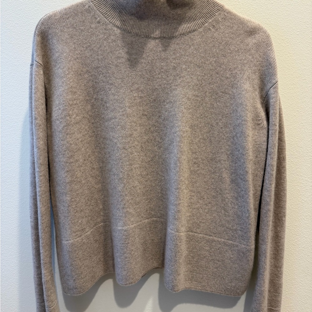 Everlane Women's Taupe Turtleneck Sweater